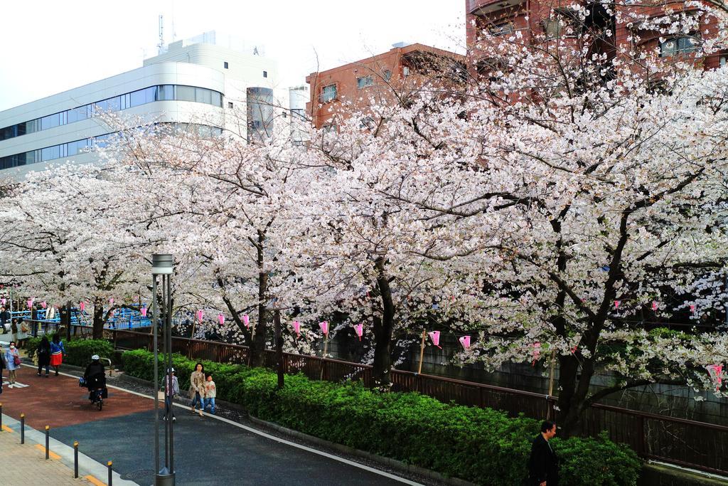 Апартаменти Coto Tokyo Shibuya Екстер'єр фото